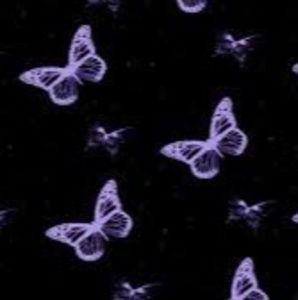 Meet your Posher, Gabbi